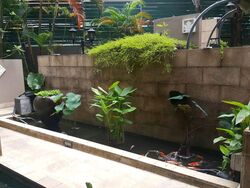 D'Banyan (D27), Apartment #637449691